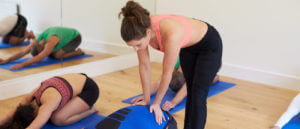 200 Hour Yoga Teacher Training Mississauga at Mind to Body Yoga